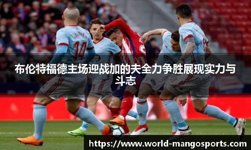 芒果体育登录入口